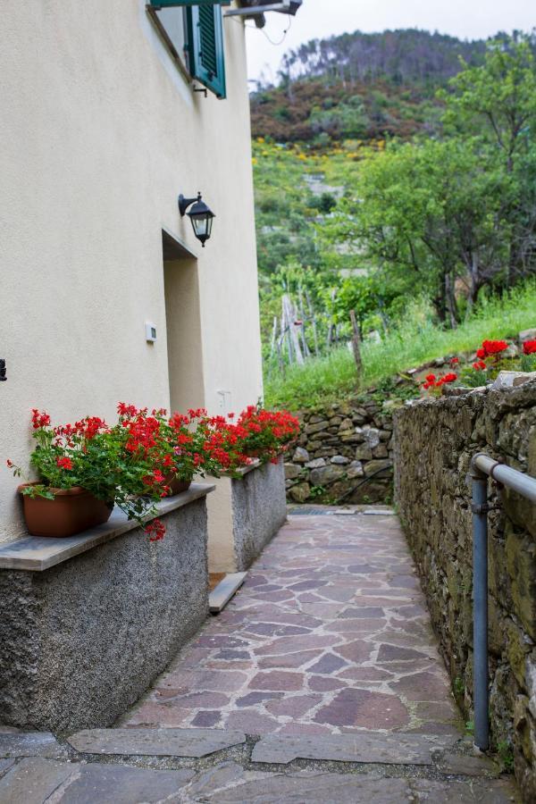 Casa Vacanze Tra Le Mura Levanto Exterior photo